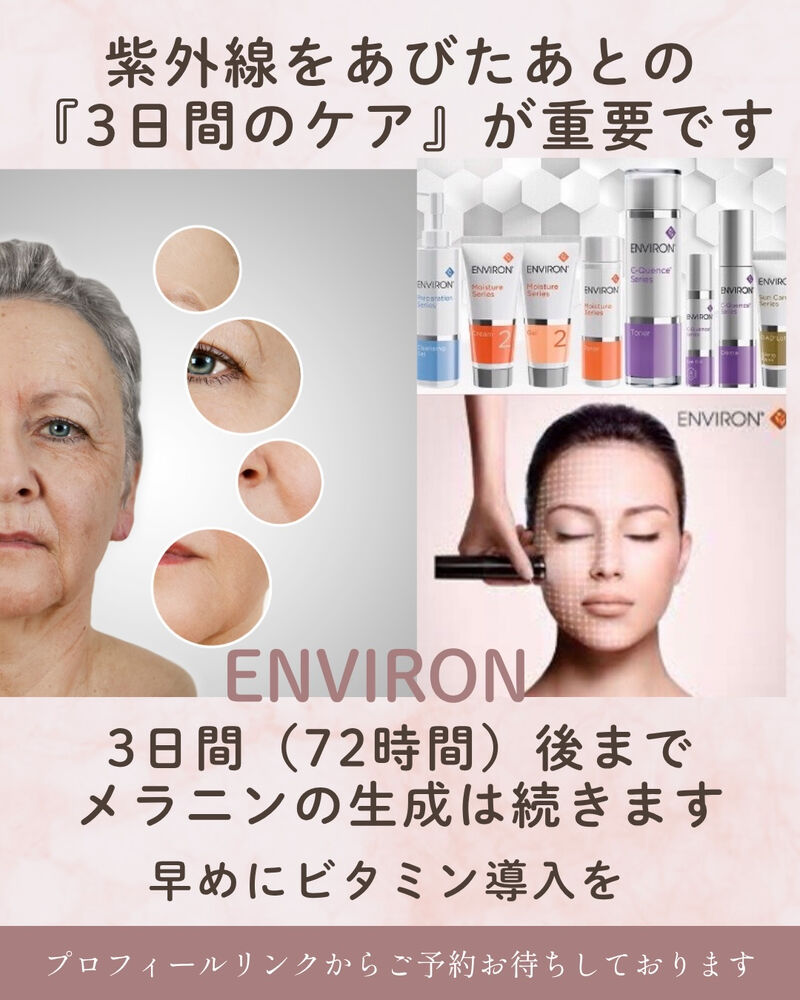ブログ